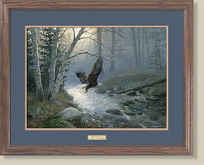 Spring Run-Bald Eagle by Persis Clayton Weirs (image for) Spring Run-Bald Eagle by Persis Clayton Weirs
